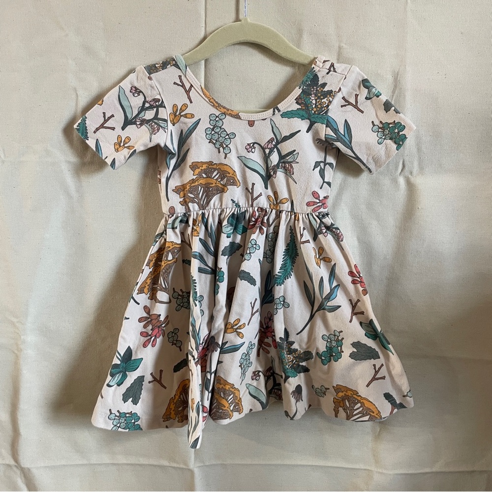Alice + Ames Short Slv Floral Ballerina Dress